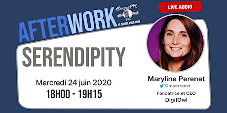 Image principale de Serendipity avec Maryline Perenet CEO de Digit'Owl