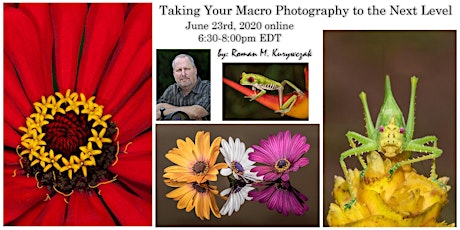 Taking Your Macro Photography to the next Level. primary image