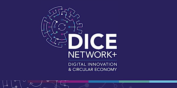 DICE Network+ Flexible Fund application guidance