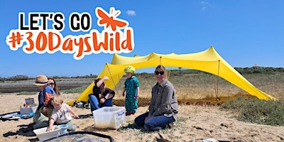 Image principale de Nature Tots Rye Harbour (420337035)