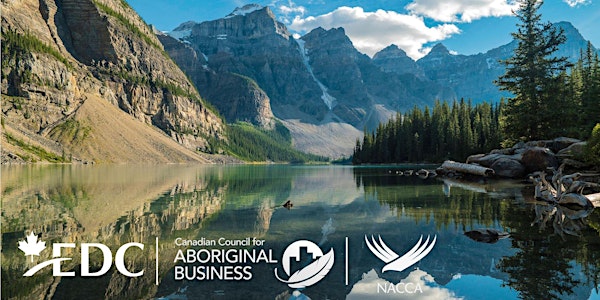 Webinar for Indigenous Businesses: How to access financing and support