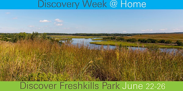 Freshkills Park Discovery Week @ Home