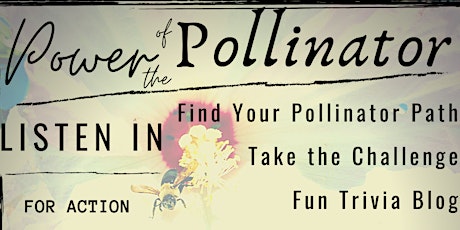 Power of the Pollinator featuring Melinda Fegler primary image