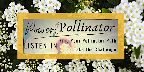 Blue Drinks and the Power of the Pollinator primary image