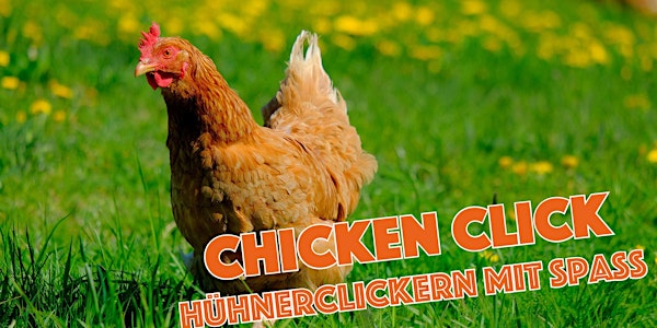 Chicken Click - Hühner clickern für Jedermann