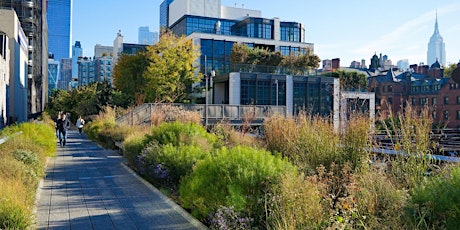 Hauptbild für Free High Line & Hudson Yards Virtual Walk & Talk