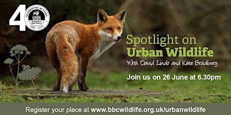 REGISTRATION CLOSED: Spotlight on Urban Wildlife: David Lindo/Kate Bradbury primary image