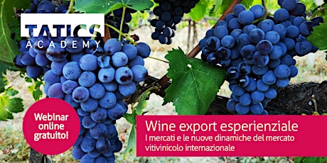 Immagine principale di Wine export esperienziale 