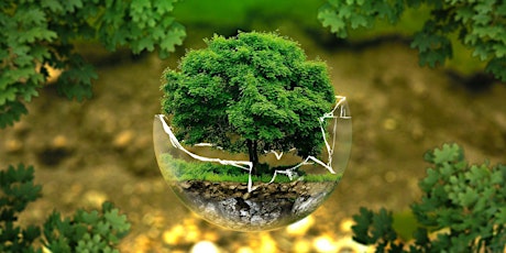 Hauptbild für Umweltförderungen