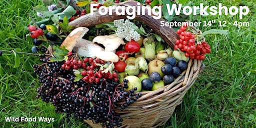 Image principale de Foraging Workshop