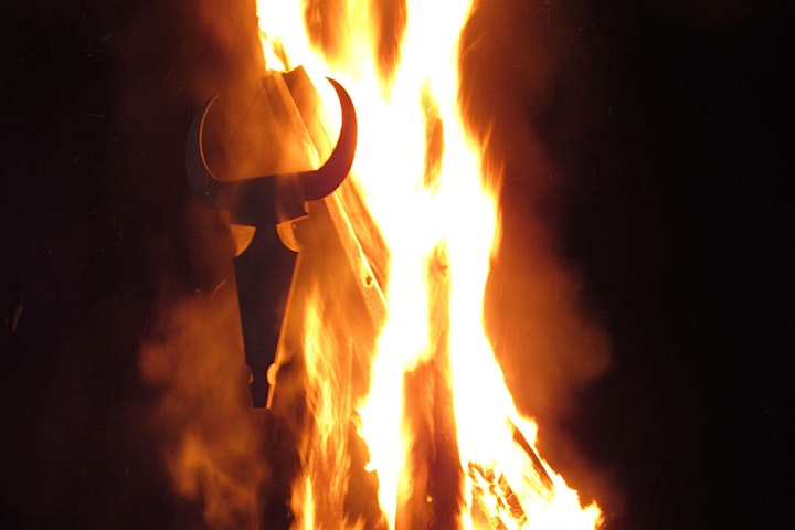 BurningCow2021 image