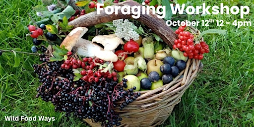 Image principale de Foraging Workshop