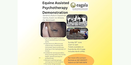 Image principale de Equine assisted Psychotherapy Demonstration (EAGALA)