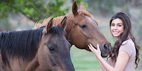 Pferde lieben ätherische Öle - aber was mache ich wie und wann?