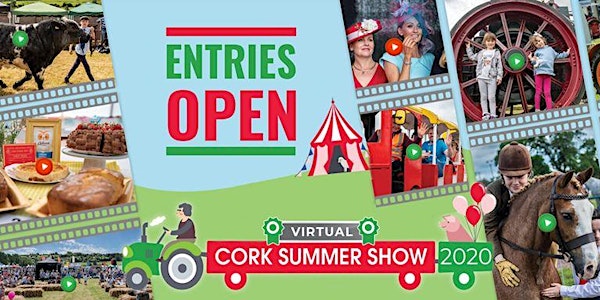 Cork Virtual Summer Show