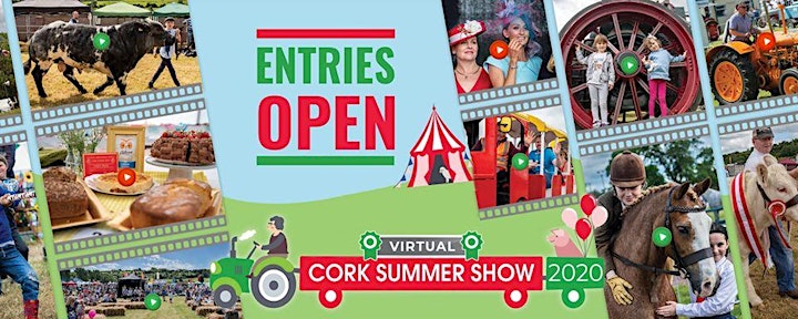 Cork Virtual Summer Show image