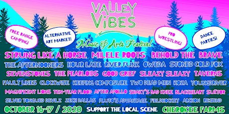 Valley Vibes Music & Arts Festival