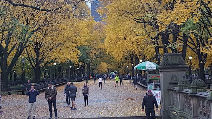 Central Park Walking Tour image