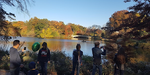 Central Park Walking Tour