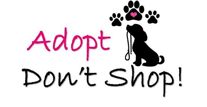 RESCHEDULED: NamastHay to Benefit the Hancock County Humane Foundation image