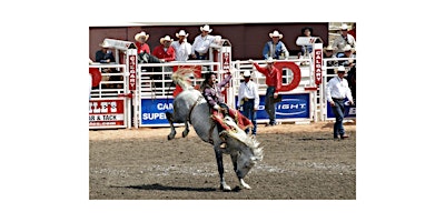 Bureau Veritas Stampede Party 2025 primary image