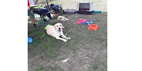 Hauptbild für Stage Canin Techniques de Relaxation - Gestion du Stress