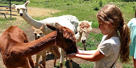 Saturday, July 11th, 2020 Alpaca Farm Visit
