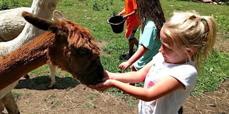 Sunday, August 30th, 2020 Alpaca Farm Visit
