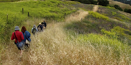 Wild Plum Foray and Tasting and Edible Plants Tour June 28 primary image