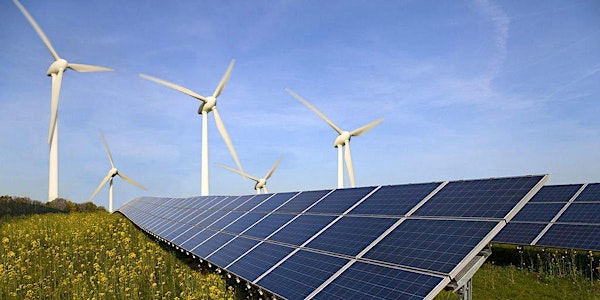 Reigniting the clean energy economy: Policy options and opportunities