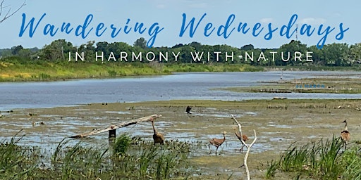 Image principale de Wandering Wednesdays