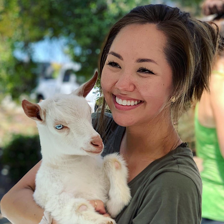 Baby Goat Yoga: Play with Baby Goats, Mini Donkey, Chickens and Pig! image