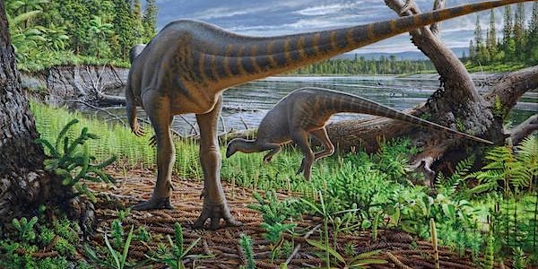 Dinosaurs of Australia  Event  August 17th  2020 2 pm