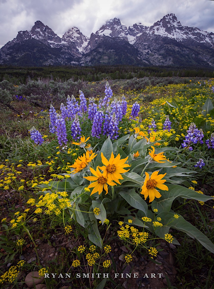 SOLD OUT 2021 ICONS of the Tetons ( June 3-7 ) Photography Workshop image
