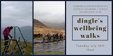 Kerry's Wellbeing Walks - Dingle primary image