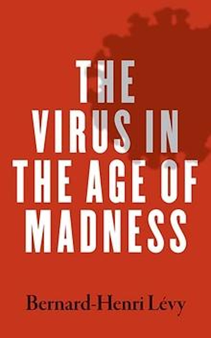 The Virus in the Age of Madness | Bernard-Henri Levy with Hannah MacInnes image