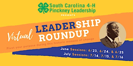Now What?! A Virtual Leadership Roundup (July)