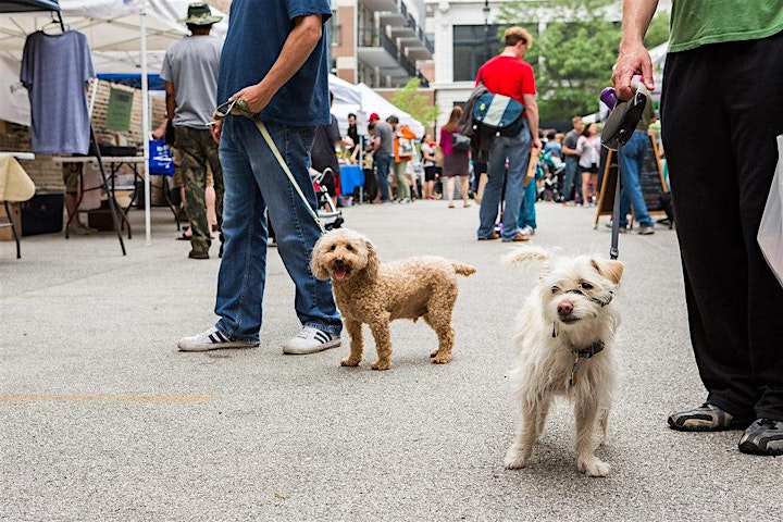 South Loop Farmers Market: Printers Row (Saturdays) image