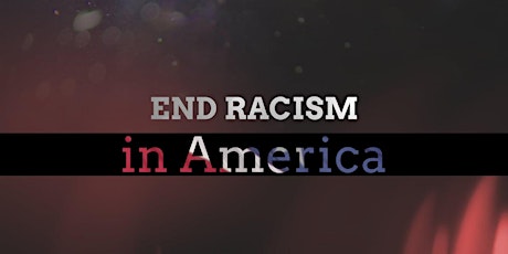 RACE IN AMERICA EDUCATIONAL SERIES primary image