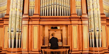 1877 Hill & Son Grand Organ Tours 'A Sound Taste'