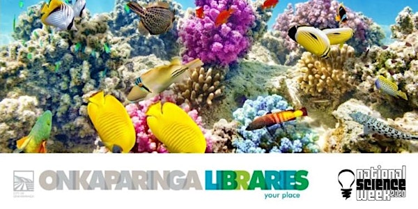 Celebrating Our Marine Environments - Life below water (SDG Book Group)