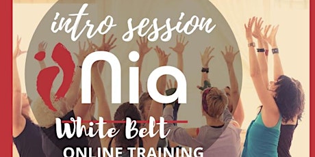 Introductory session on the UK Online Whitebelt training primary image