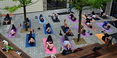 Immagine principale di Yoga in the Beer Garden 