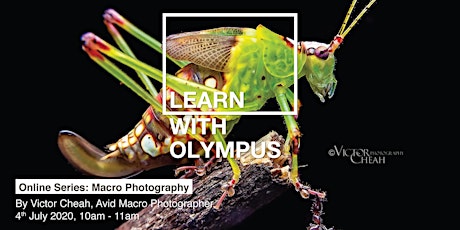 Learn With Olympus - Macro Photography primary image