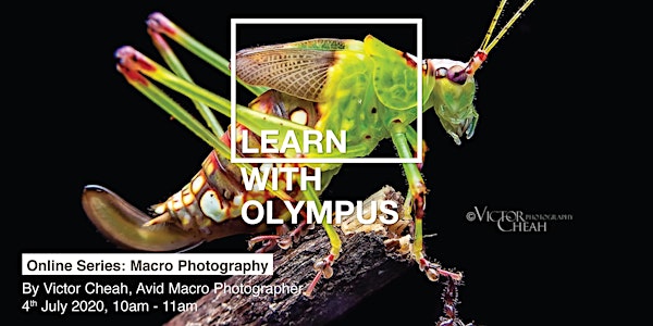 Learn With Olympus - Macro Photography