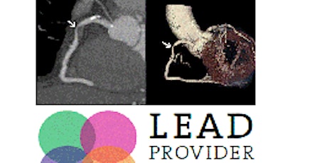 Cardiac CT 3-day Hands-on Level 1 Training Course  (31 Oct - 2 Nov 2020) primary image