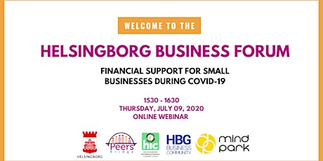 Financial Support for Small Businesses during COVID-19  primärbild