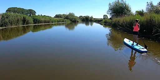 Imagen principal de 1:1 SUP Coaching For Beginners on The River Avon