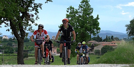 Immagine principale di Tour in bici a Colà di Lazise con degustazione in cantina 