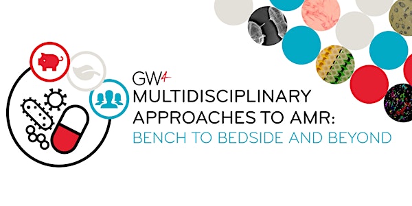 Multidisciplinary Approaches to AMR: Bench to Bedside and Beyond